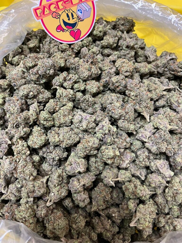 Gary Payton Gary Payton Cannabis Strain