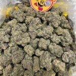 Black Cherry Gelato Cannabis Strain