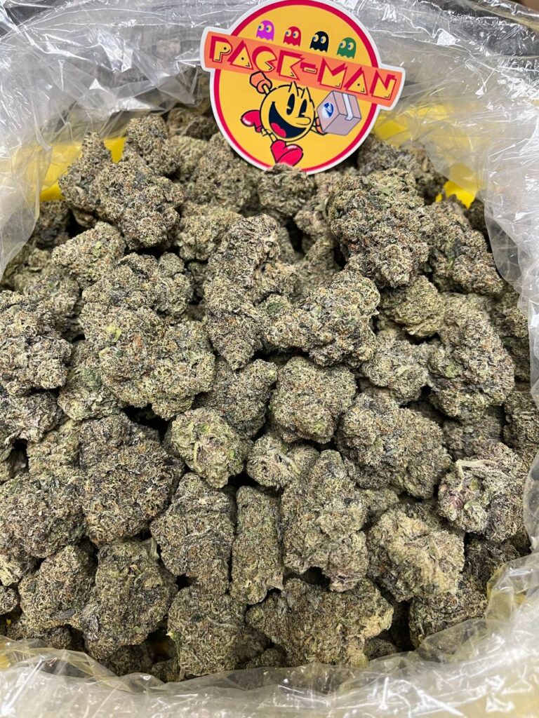 Black Cherry Gelato Black Cherry Gelato Cannabis Strain