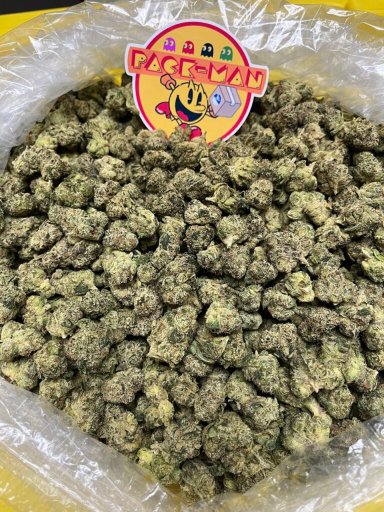 Super Lemon Cherry Gelato Buy Super Lemon Cherry Gelato Online