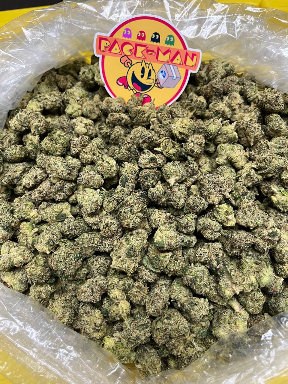 IMG_20230813_195714_380 Buy Super Lemon Cherry Gelato Online
