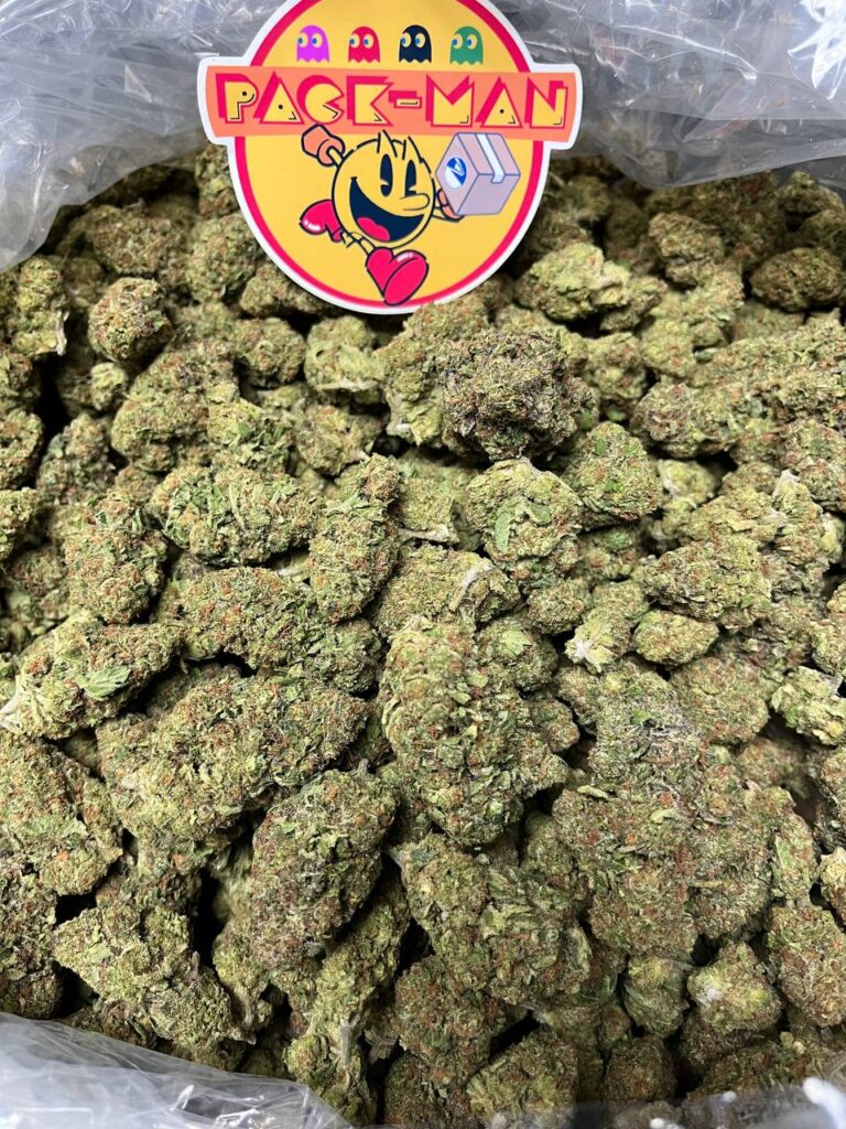 Buy Cereal Milk Cannabis Strain
