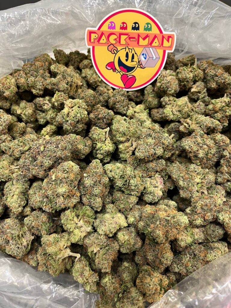 Apple Fritter Buy Apple Fritter Cannabis Strain in Europe