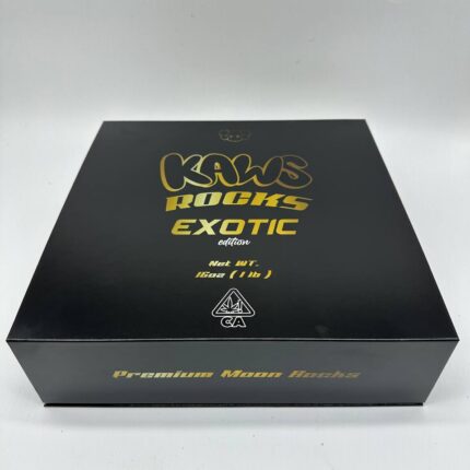 Kaws Rocks Exotic Edition