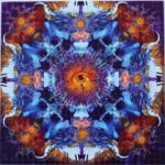 Illuminate LSD Blotters