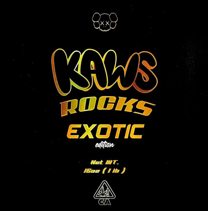 Exotic Edition Kaws Rocks