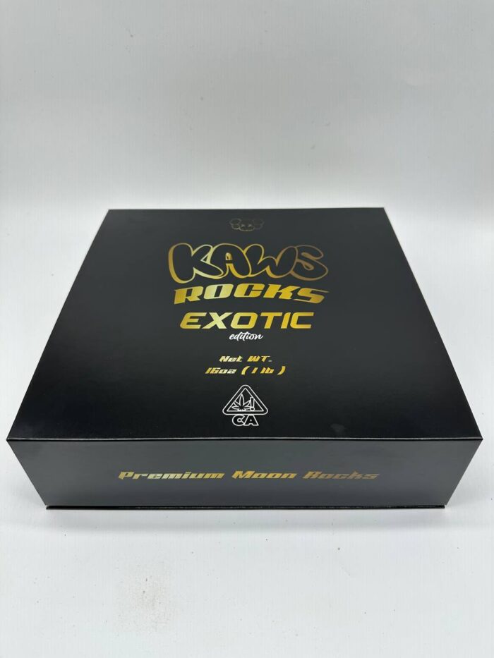 Kaws Rocks Exotic Edition